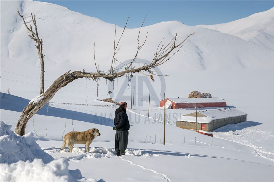 وان.. سەختی ژیانی شوانکاران لە زستان