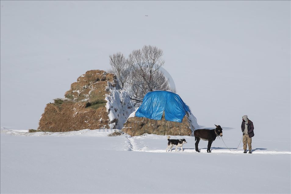 وان.. سەختی ژیانی شوانکاران لە زستان