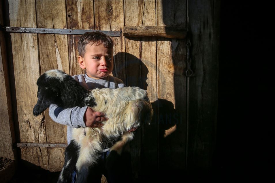 وان.. سەختی ژیانی شوانکاران لە زستان