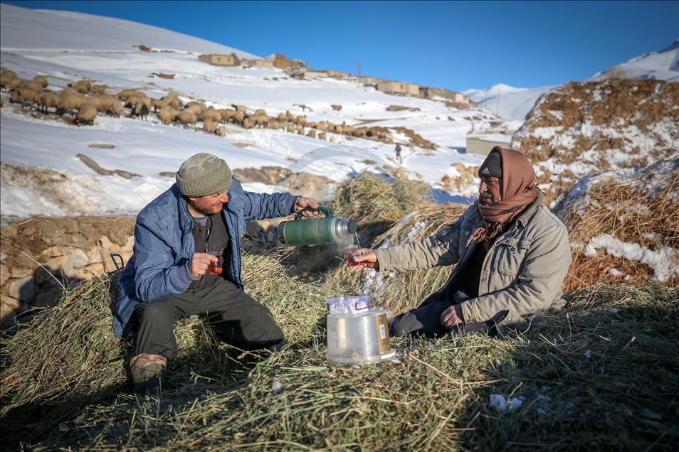 وان.. سەختی ژیانی شوانکاران لە زستان
