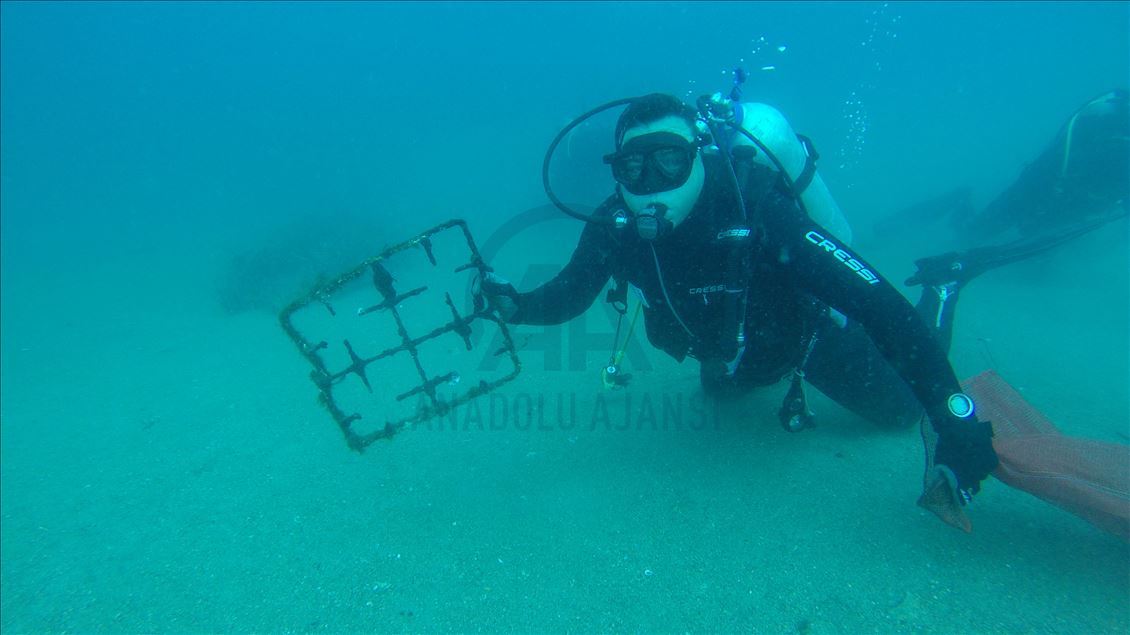 Muğla'da dalgıçlar deniz dibi temizliği yapacak