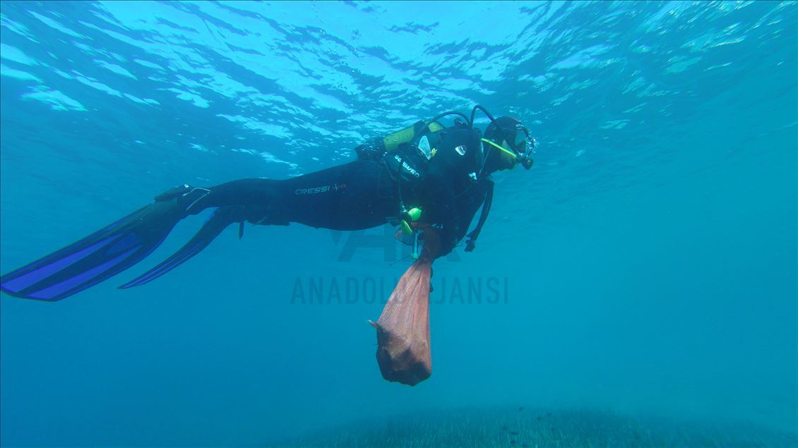 Muğla'da dalgıçlar deniz dibi temizliği yapacak