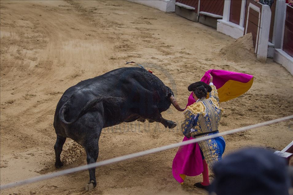 Bullfighting returns to Colombia’s capital amid controversy