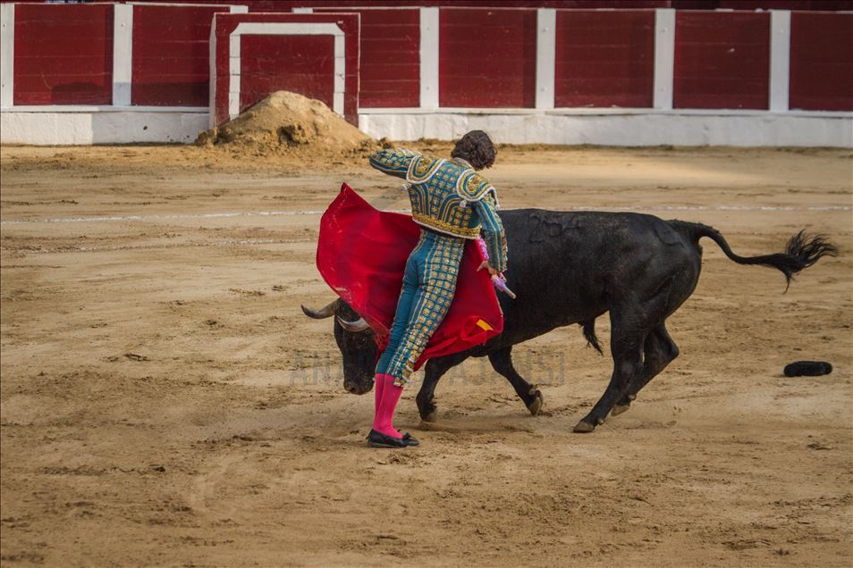 Bullfighting returns to Colombia’s capital amid controversy