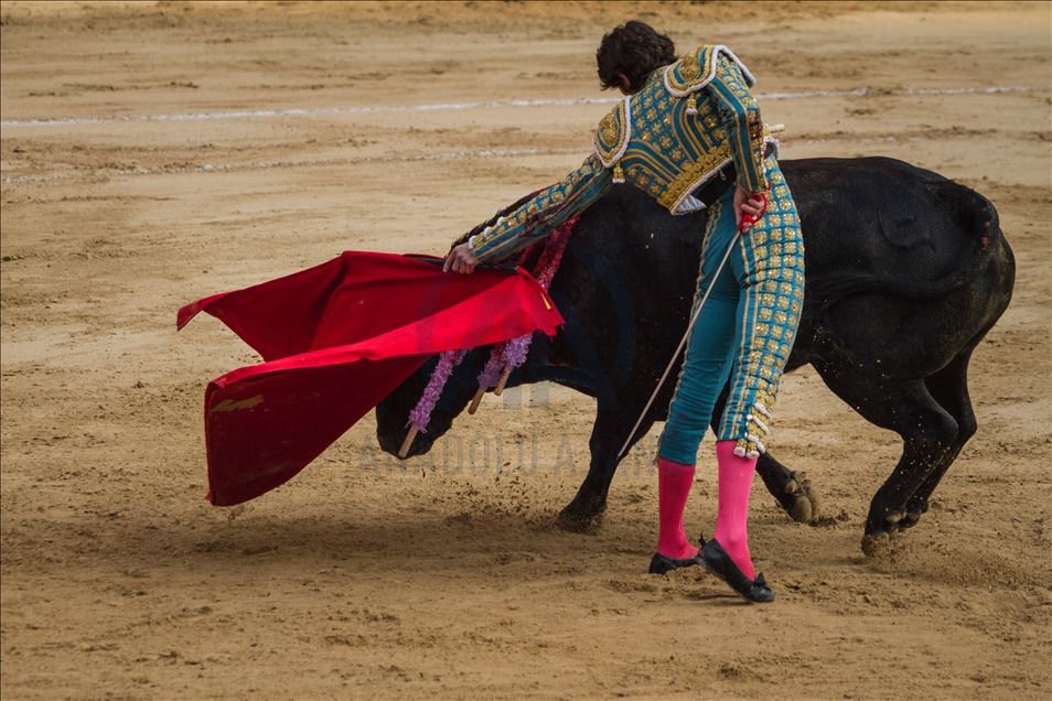 Bullfighting returns to Colombia’s capital amid controversy