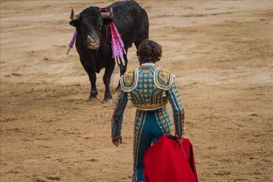 Bullfighting returns to Colombia’s capital amid controversy