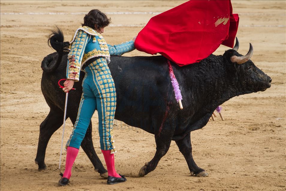 Bullfighting returns to Colombia’s capital amid controversy