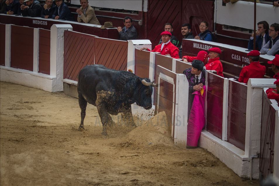 Bullfighting returns to Colombia’s capital amid controversy