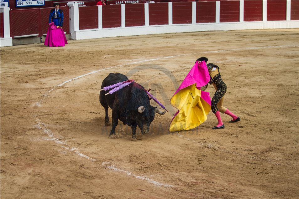 Bullfighting returns to Colombia’s capital amid controversy