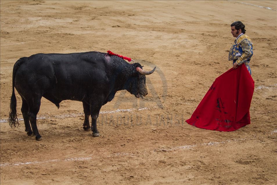 Bullfighting returns to Colombia’s capital amid controversy