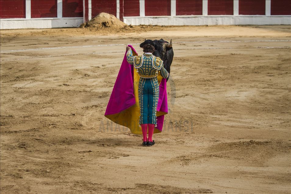 Bullfighting returns to Colombia’s capital amid controversy