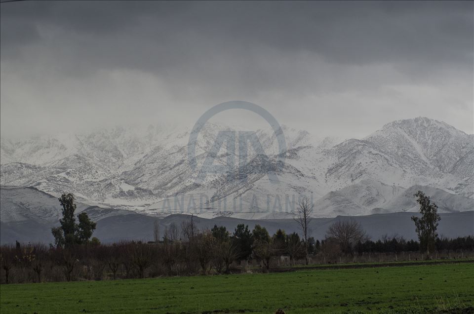 دیمهنی چیای سورێن و شنروێ له وهرزی زستاندا