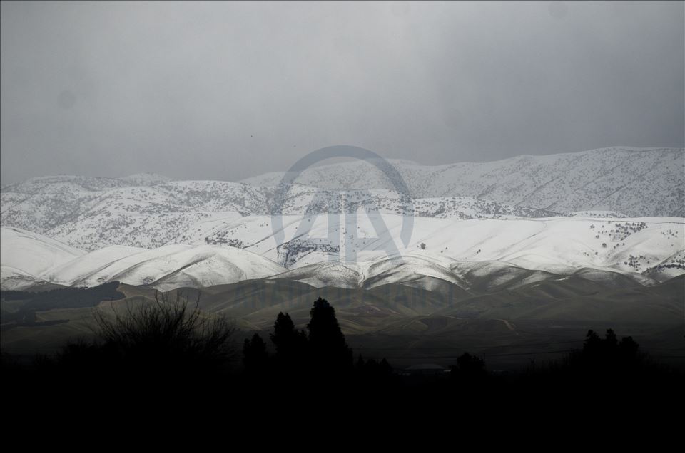 دیمهنی چیای سورێن و شنروێ له وهرزی زستاندا