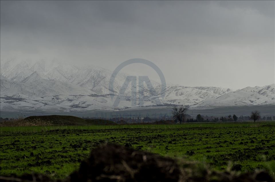 دیمهنی چیای سورێن و شنروێ له وهرزی زستاندا