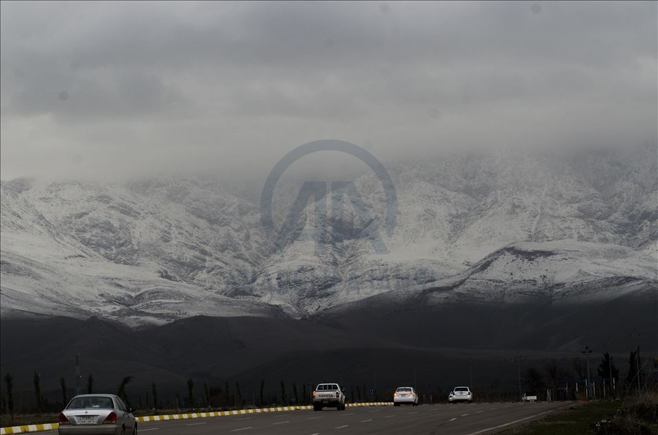 دیمهنی چیای سورێن و شنروێ له وهرزی زستاندا
