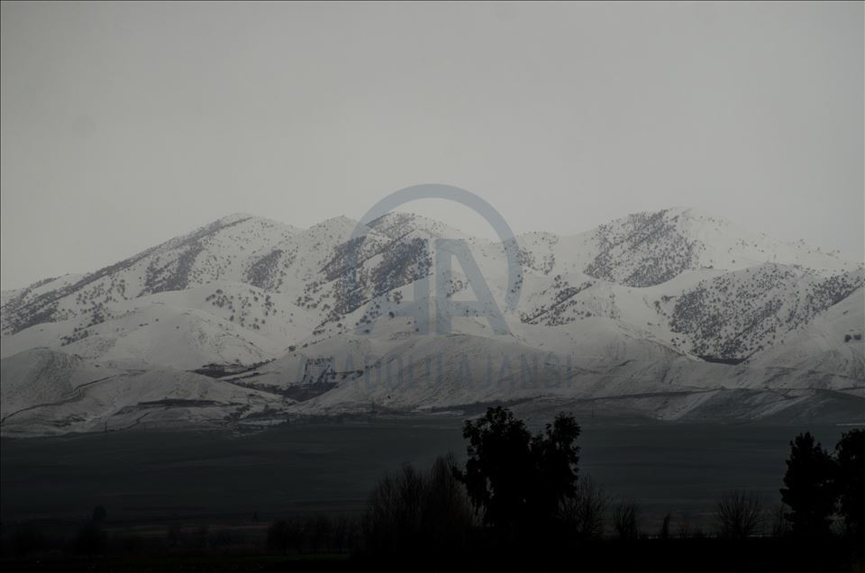 دیمهنی چیای سورێن و شنروێ له وهرزی زستاندا