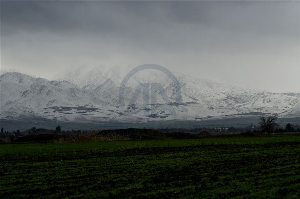 دیمهنی چیای سورێن و شنروێ له وهرزی زستاندا