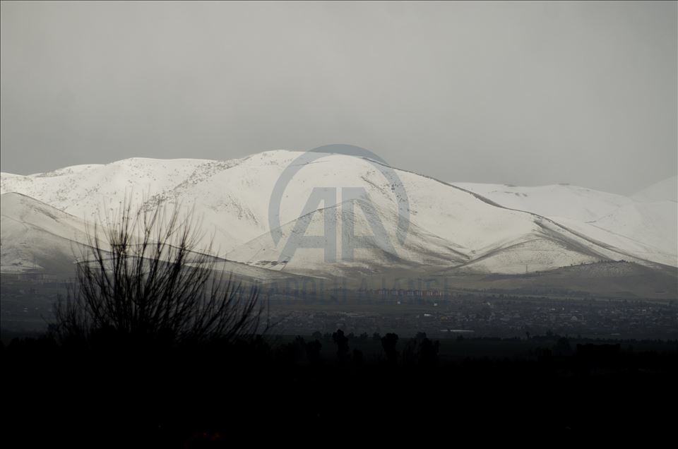 دیمهنی چیای سورێن و شنروێ له وهرزی زستاندا
