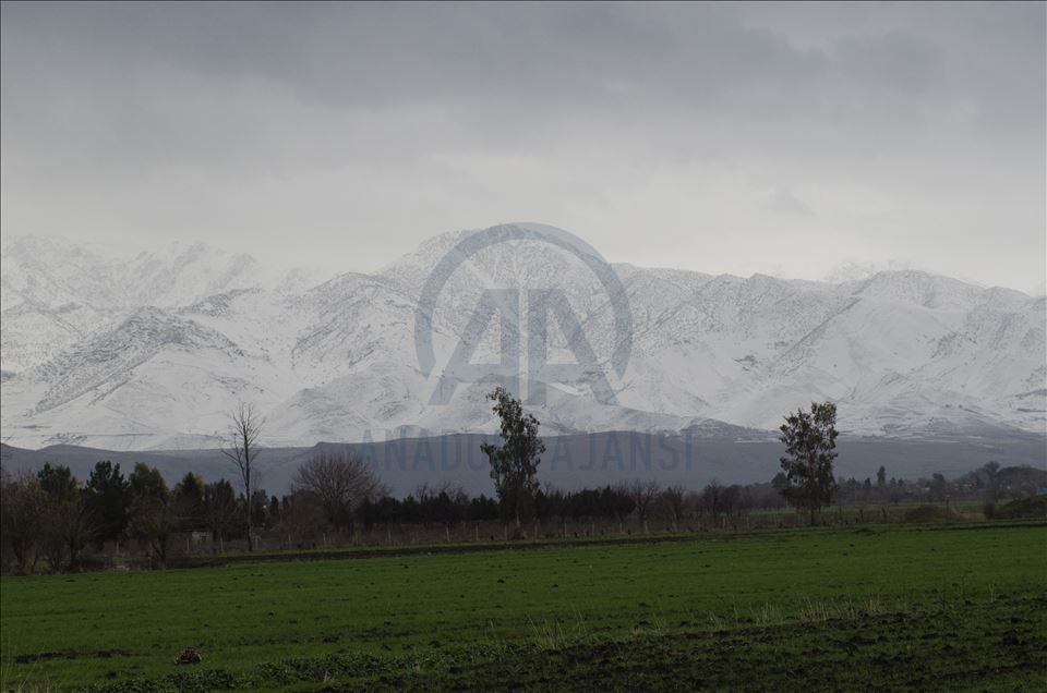 دیمهنی چیای سورێن و شنروێ له وهرزی زستاندا