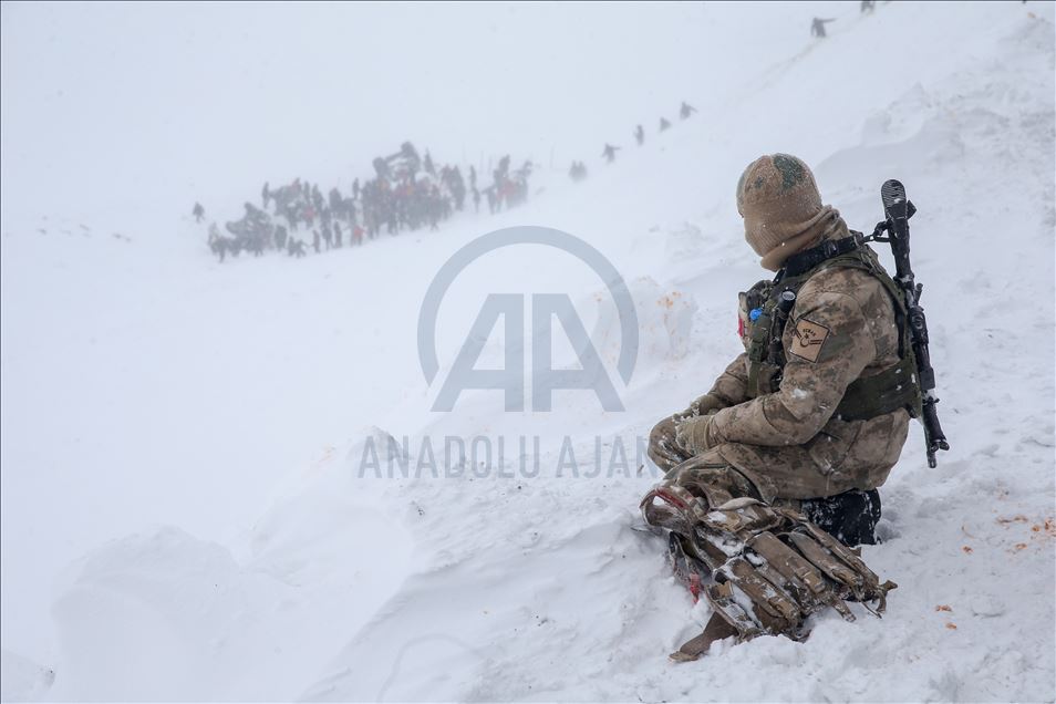 Bahçesaray'da çığın düştüğü bölgede arama çalışmaları sürüyor