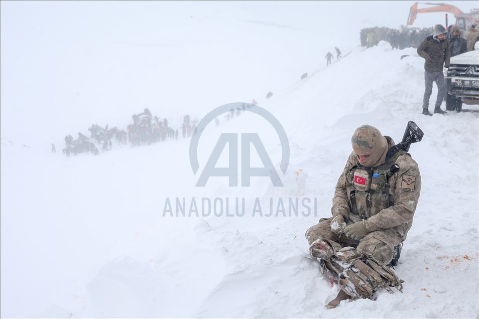 Bahçesaray'da çığın düştüğü bölgede arama çalışmaları sürüyor