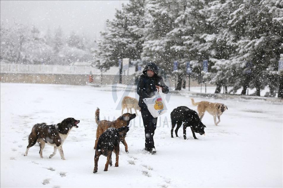Ankara'da kar yağışı