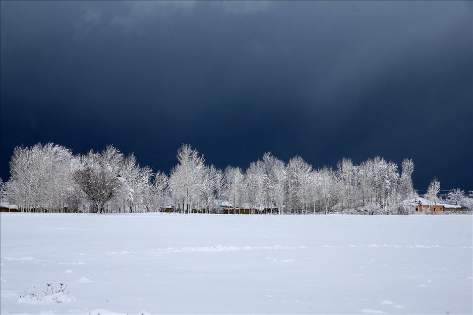 La nieve cubre la provincia de Van, Turquía