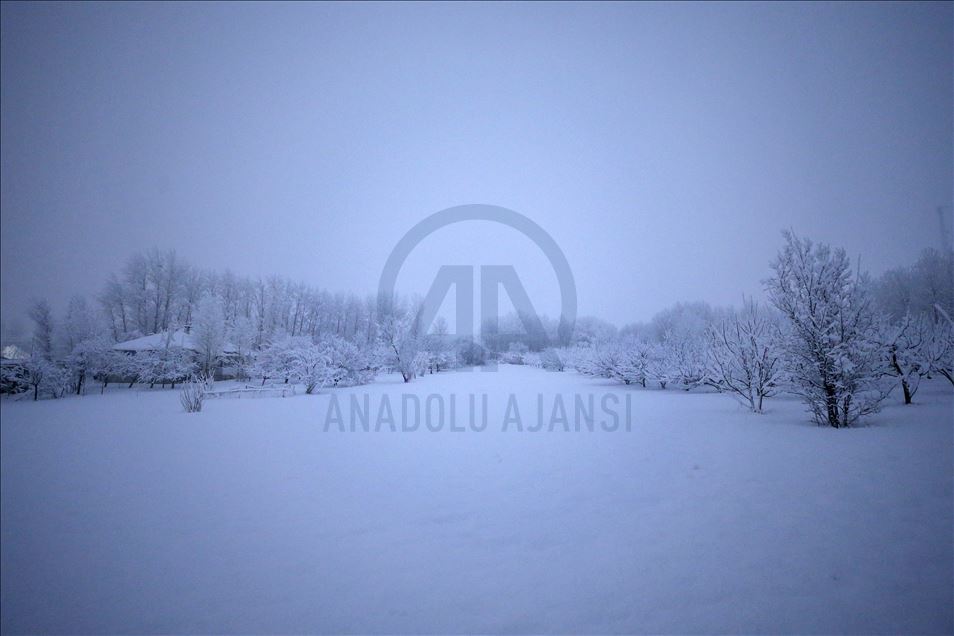 La nieve cubre la provincia de Van, Turquía