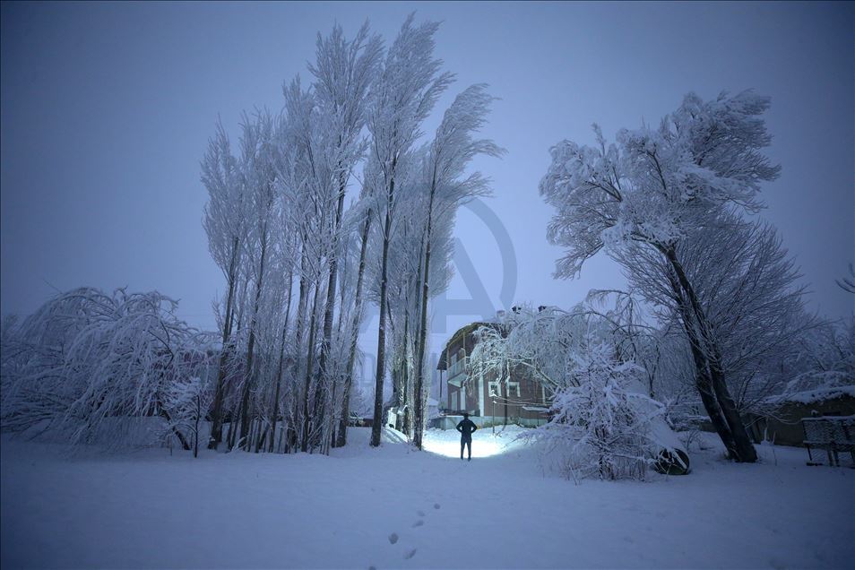 La nieve cubre la provincia de Van, Turquía