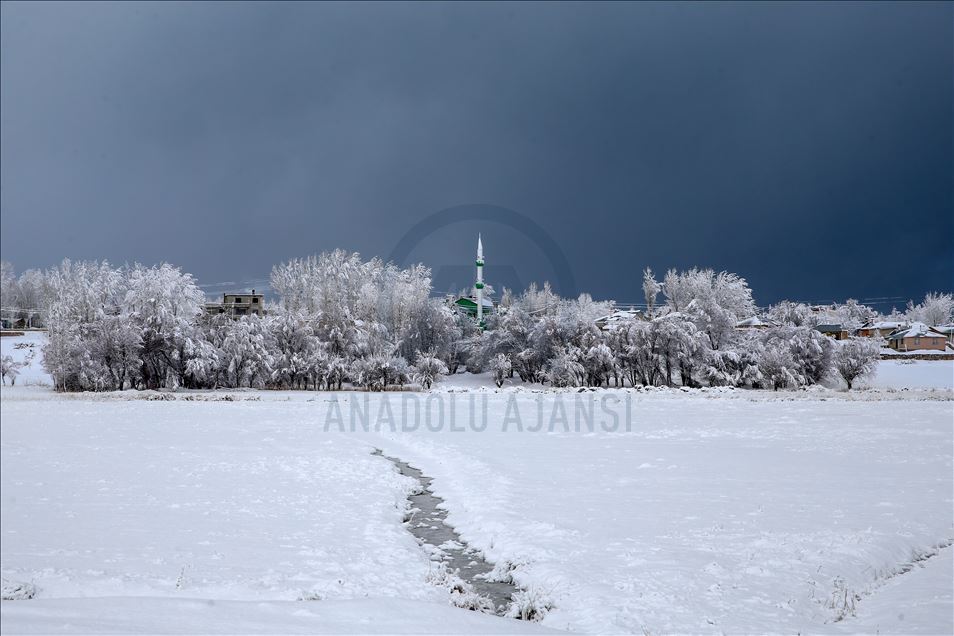 La nieve cubre la provincia de Van, Turquía