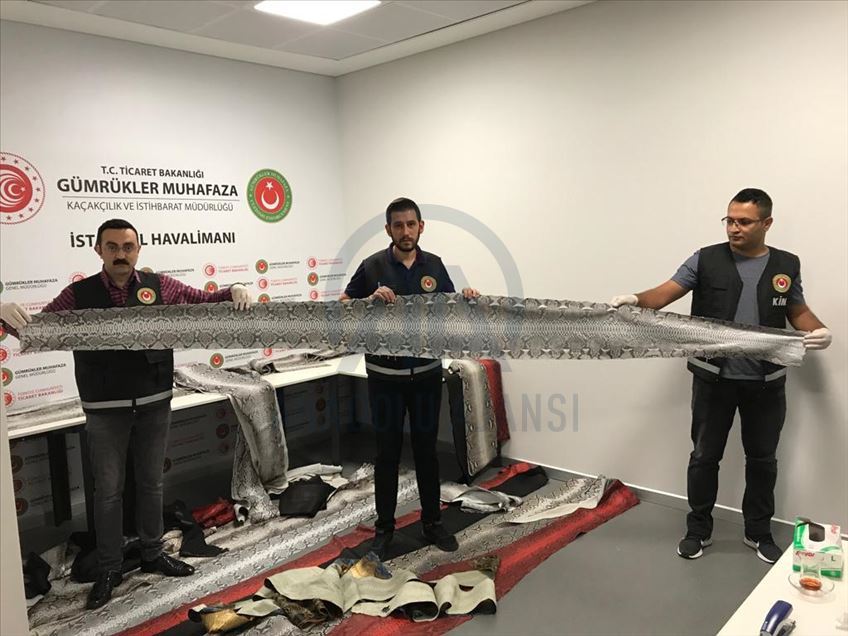 "Sınırları zorlayan" kaçakçılık yöntemleri gümrüğe takıldı