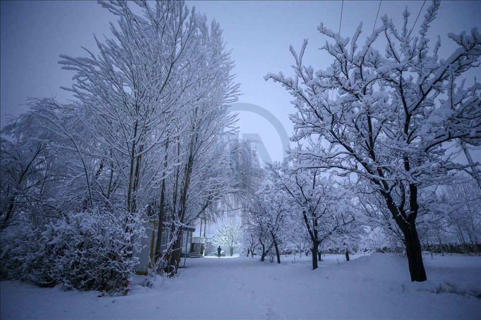 La nieve cubre la provincia de Van, Turquía