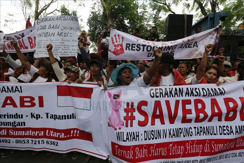 Aksi menentang pemusnahan babi ternak di Medan