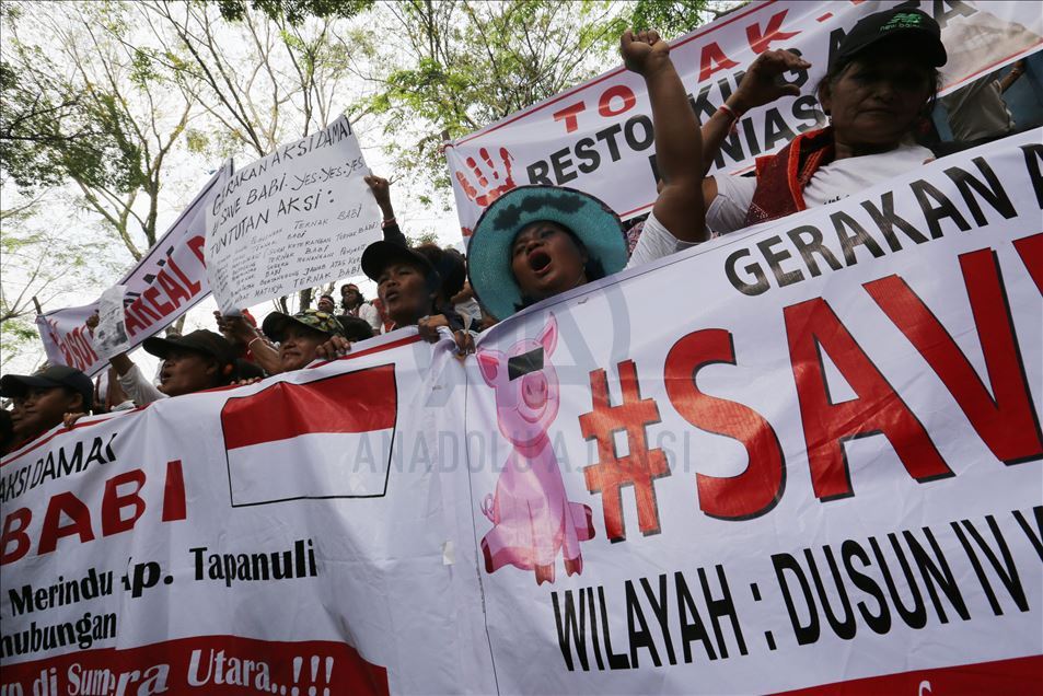 Aksi menentang pemusnahan babi ternak di Medan