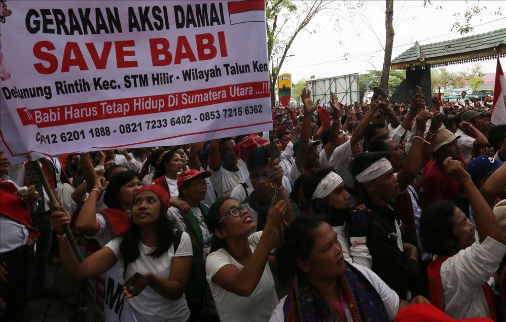 Aksi menentang pemusnahan babi ternak di Medan