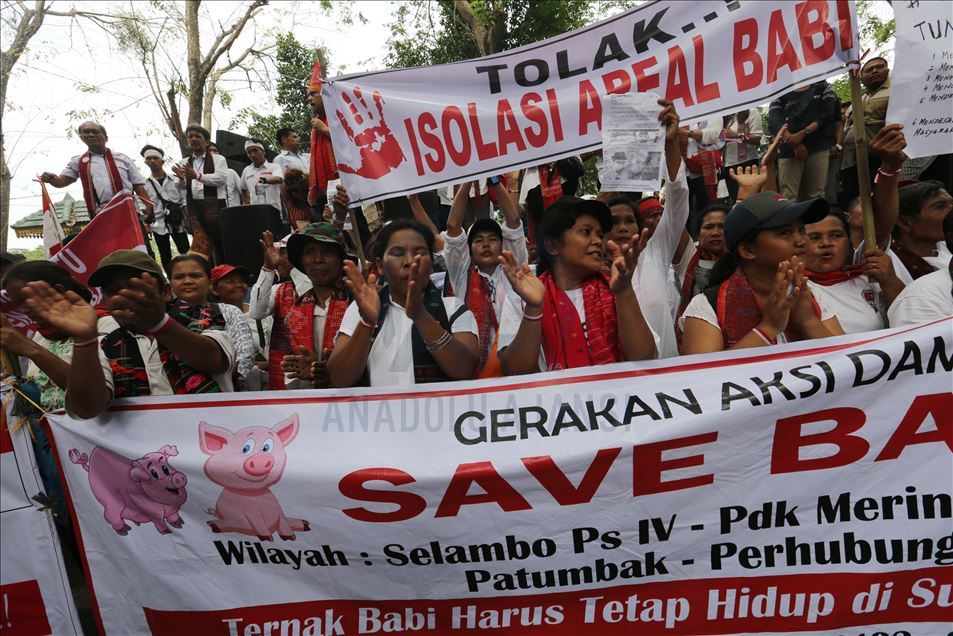 Aksi menentang pemusnahan babi ternak di Medan