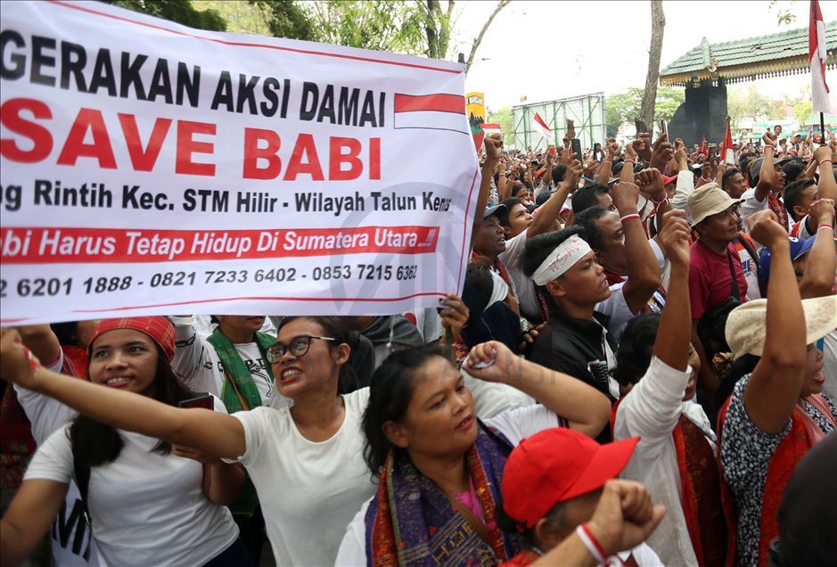 Aksi menentang pemusnahan babi ternak di Medan