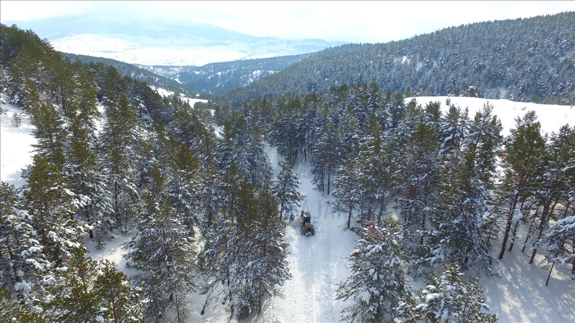 چشم انداز زیبای زمستانی برف در پارک طبیعت ارزنجان ترکیه