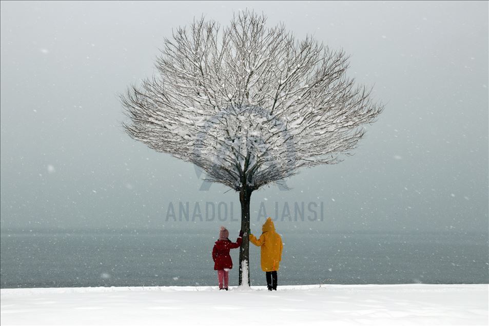 Van'da kış