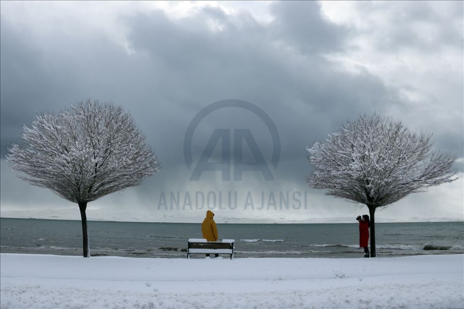 Van'da kış