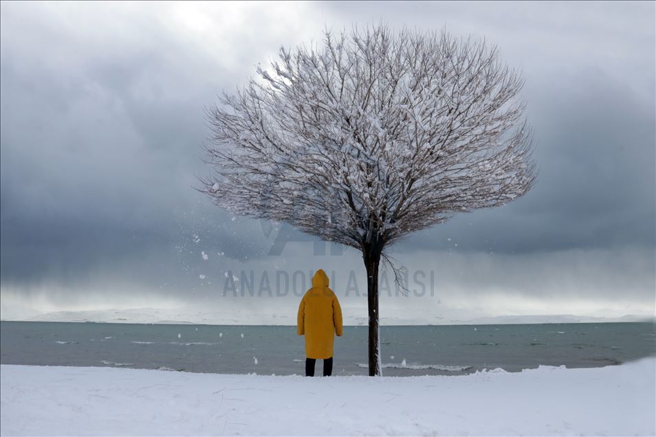 Van'da kış