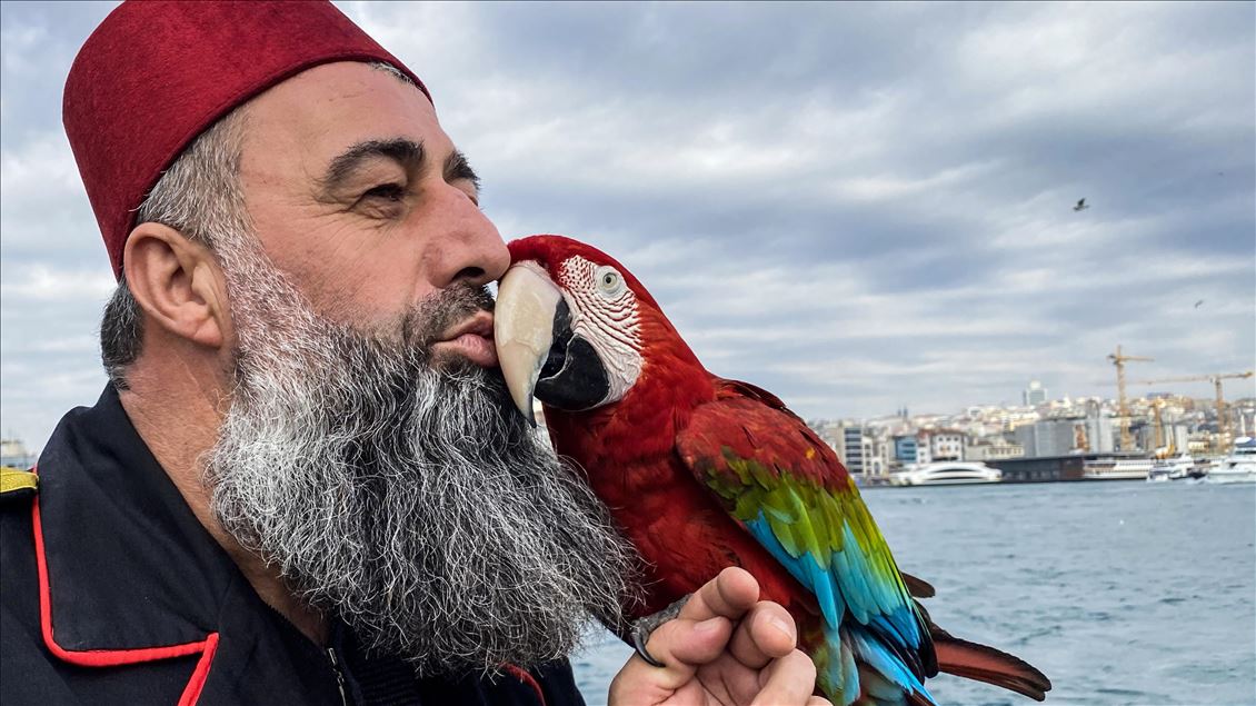 Gürcistan'da el konulan papağanı "Paşa"sına 162 gün sonra kavuştu