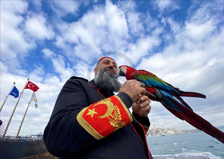 Gürcistan'da el konulan papağanı "Paşa"sına 162 gün sonra kavuştu