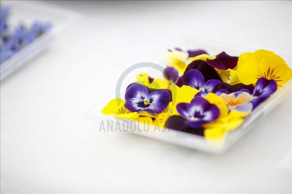 Various edible flowers
