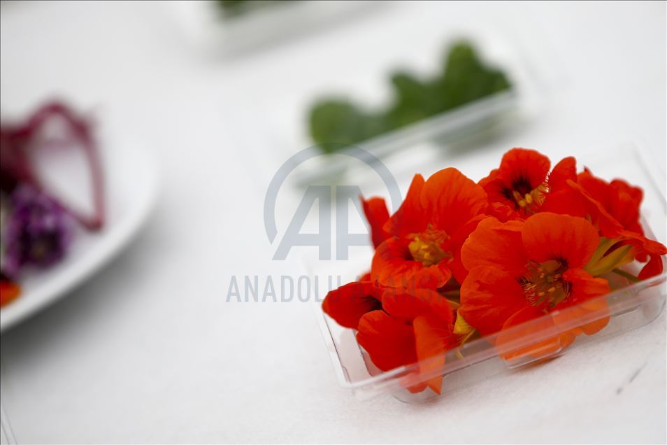 Various edible flowers