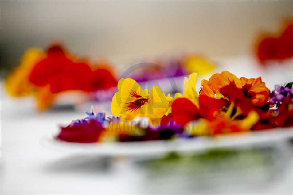 Various edible flowers