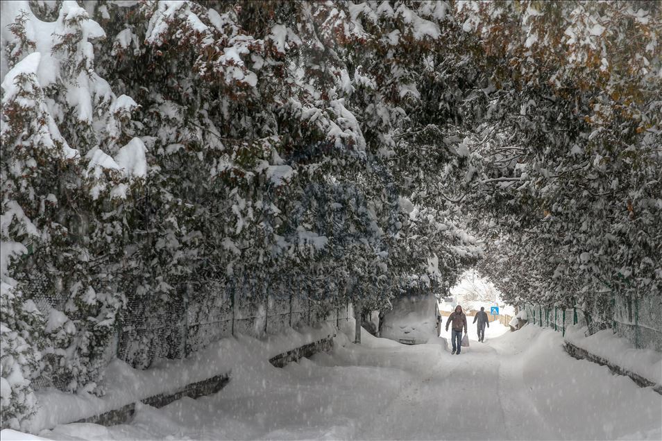 Snow depth exceeds one meter in Turkey's Van