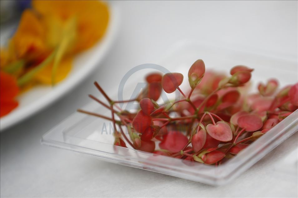 Various edible flowers