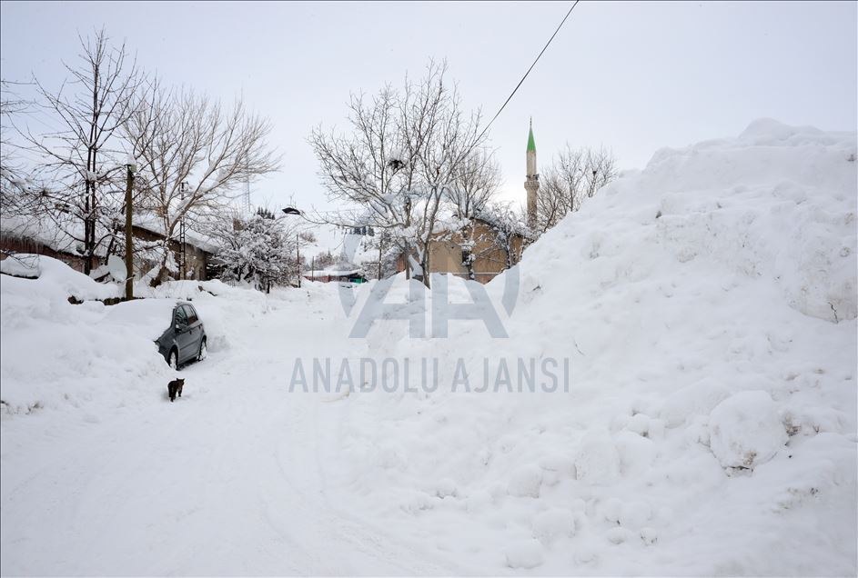 Bitlis'te kış