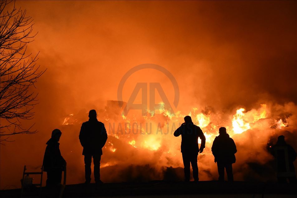 Fire at cottonseed oil factory in Adana